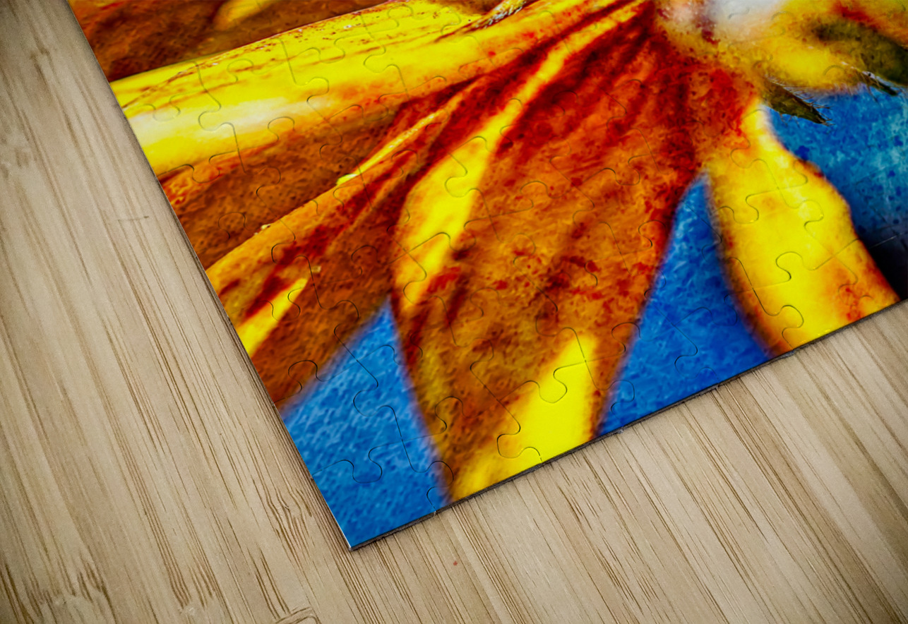 Golden Harvest: : Bee on Black Eyed Susan Flower Heather Marie Clark Puzzle