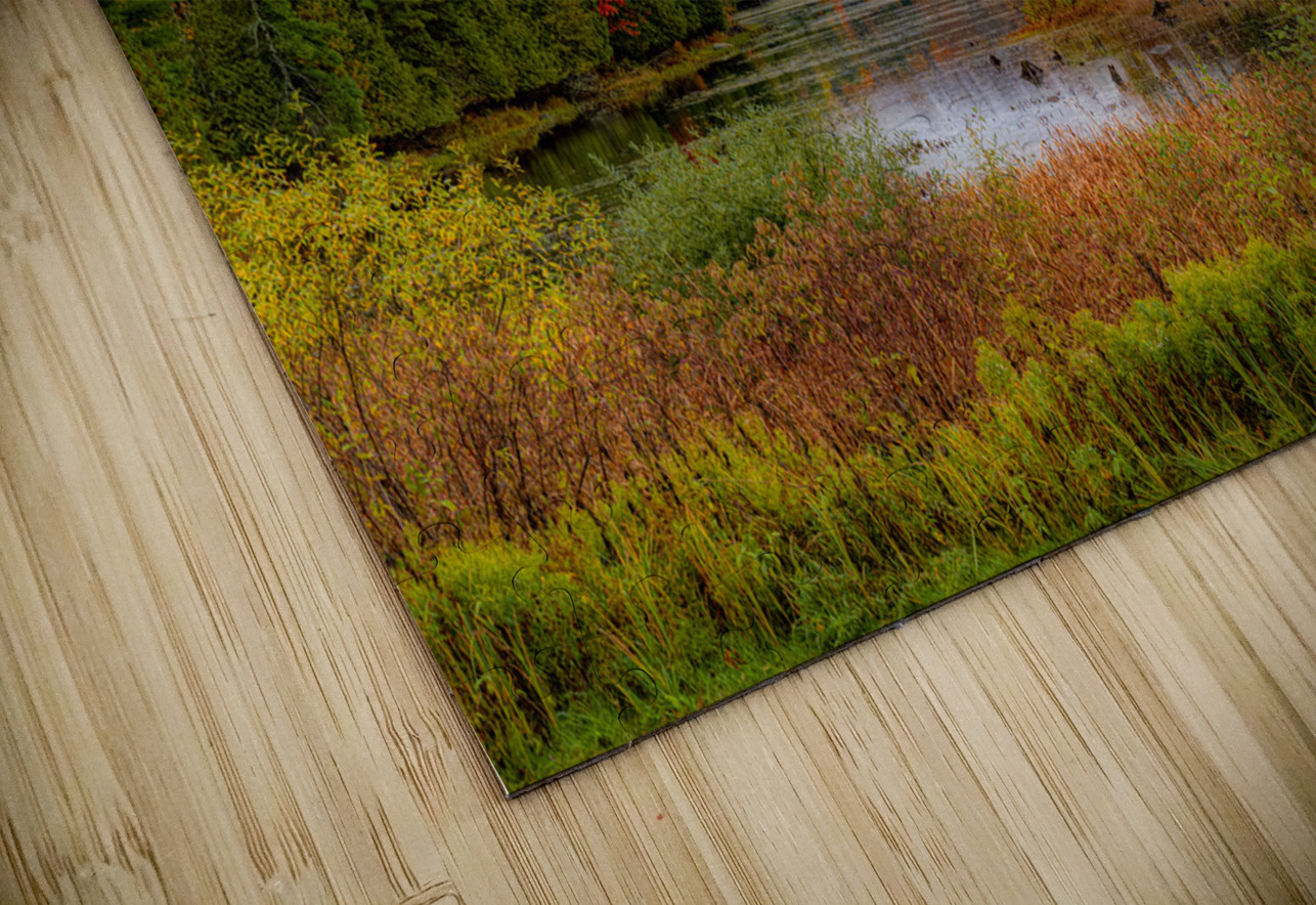 LAN 02321 John Walborn Promenade Photos Puzzle