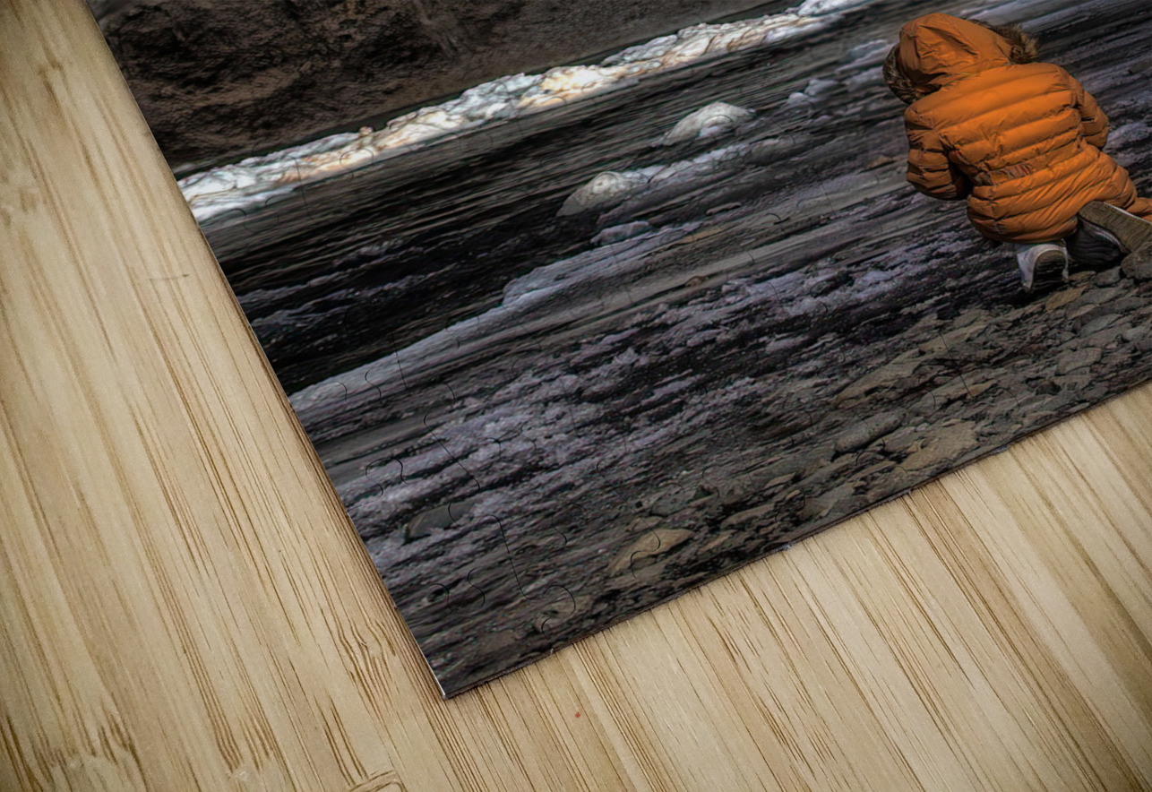 LAN 02245 John Walborn Promenade Photos Puzzle