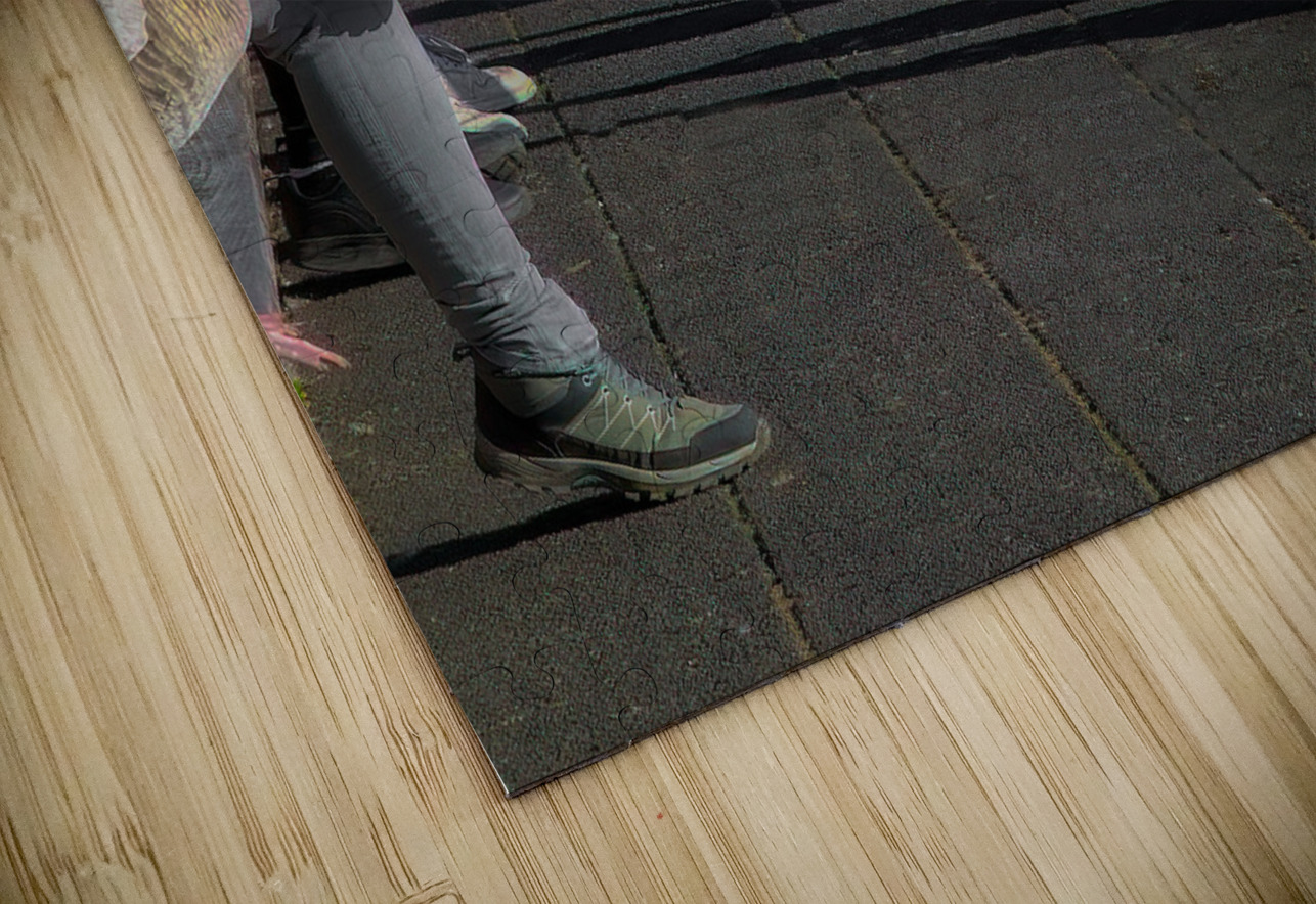 MIS 02144 John Walborn Promenade Photos Puzzle