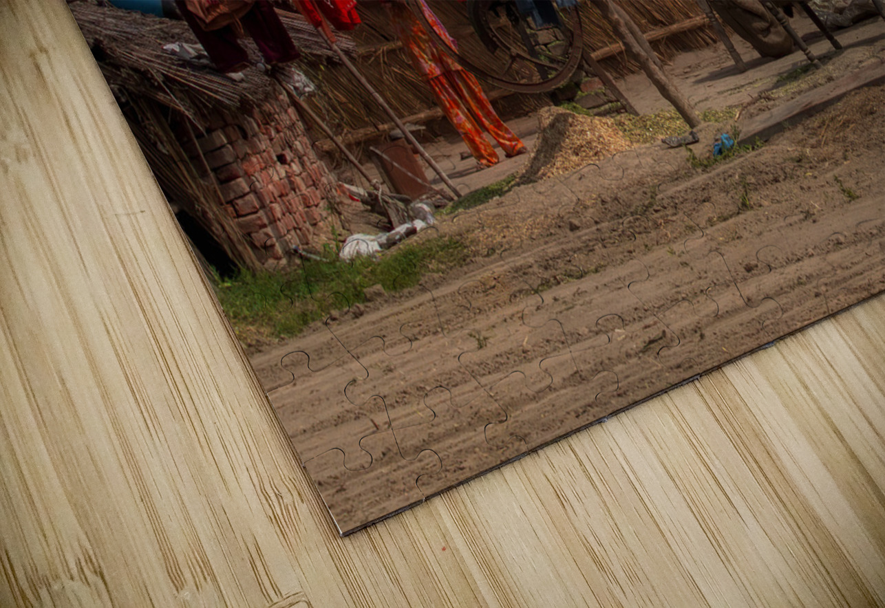 MIS 02367 John Walborn Promenade Photos Puzzle