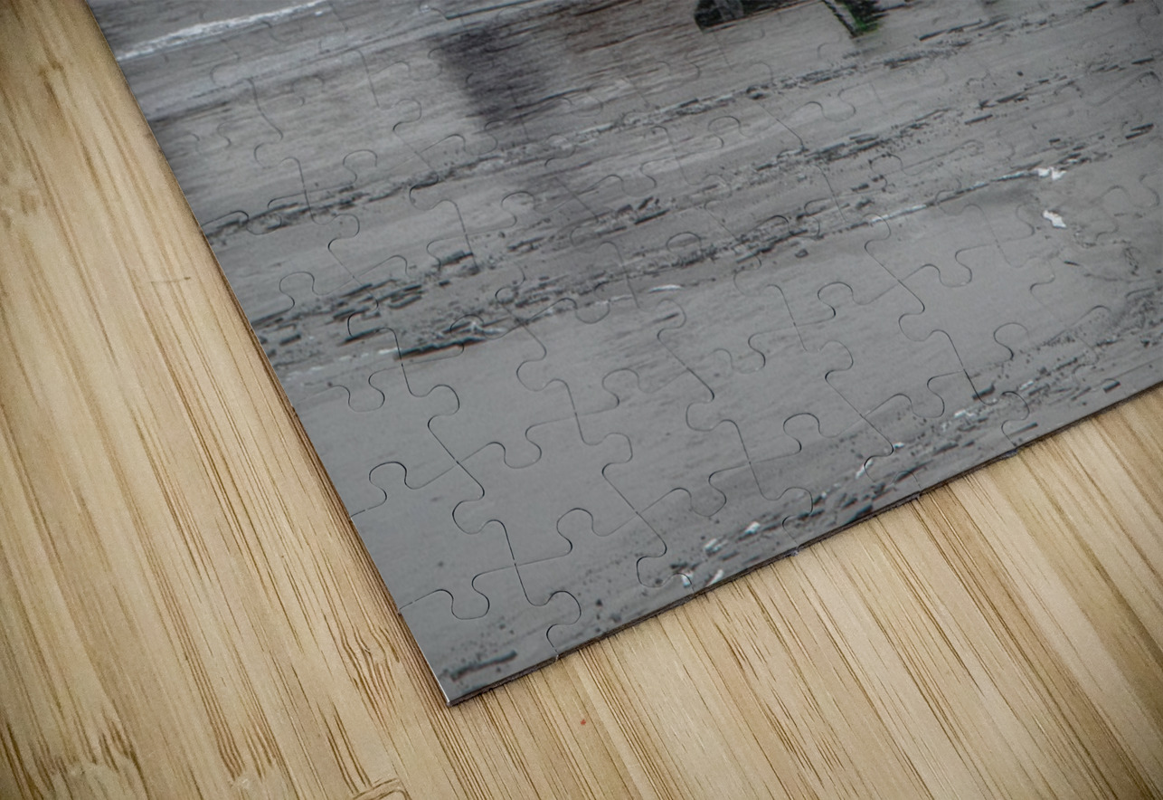 ACT 02194 John Walborn Promenade Photos Puzzle