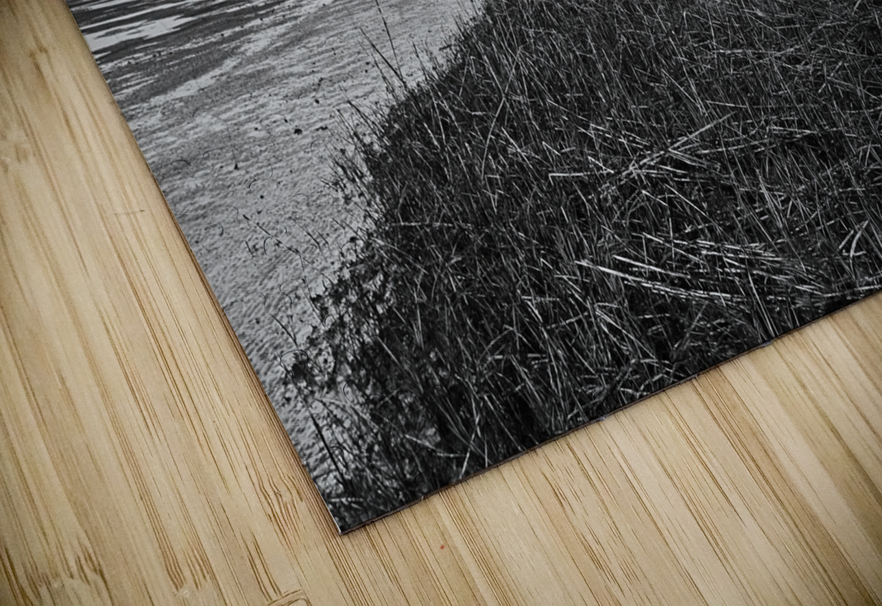 Low Tide at St. Marks Lighthouse Andy Crawford Puzzle