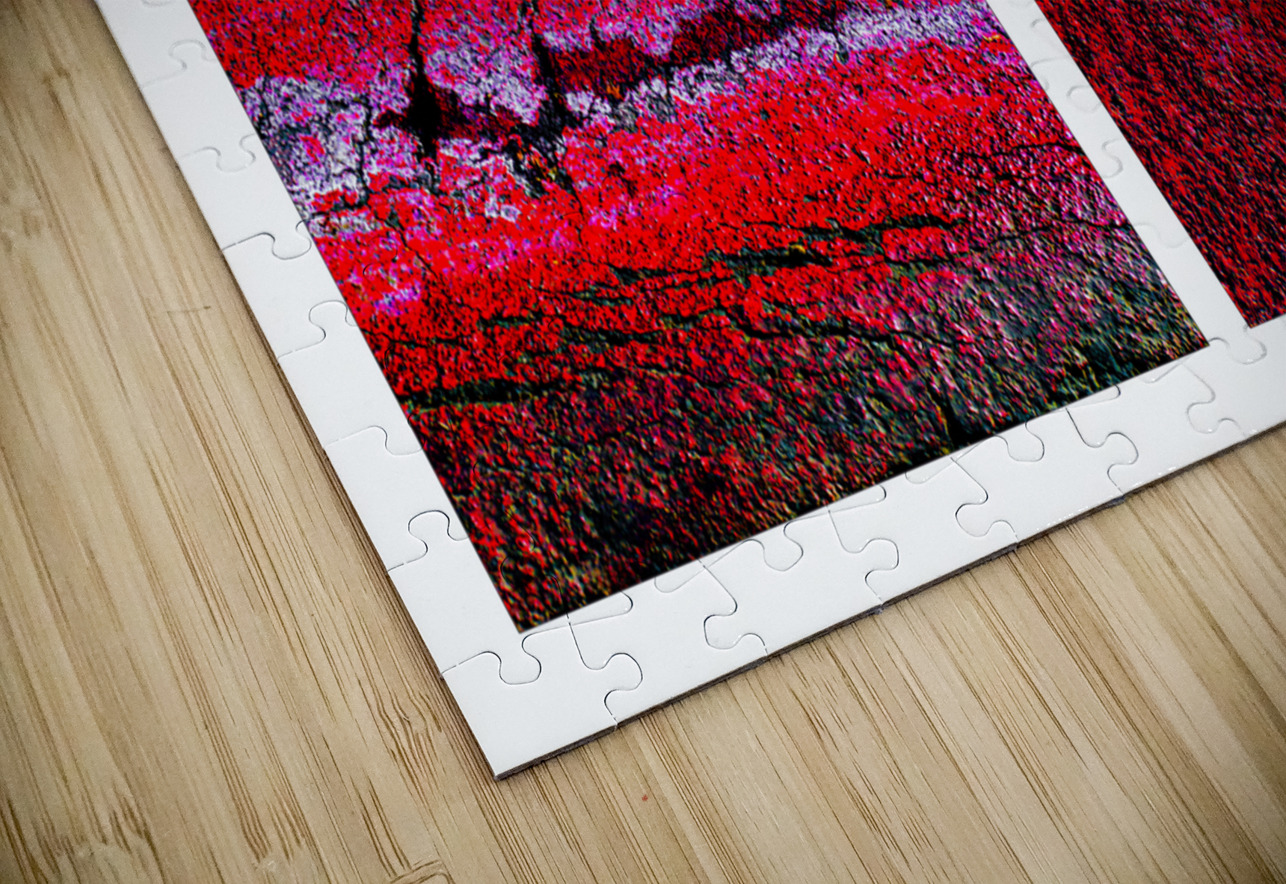 Seeing Red 02 Susan Bowen Puzzle