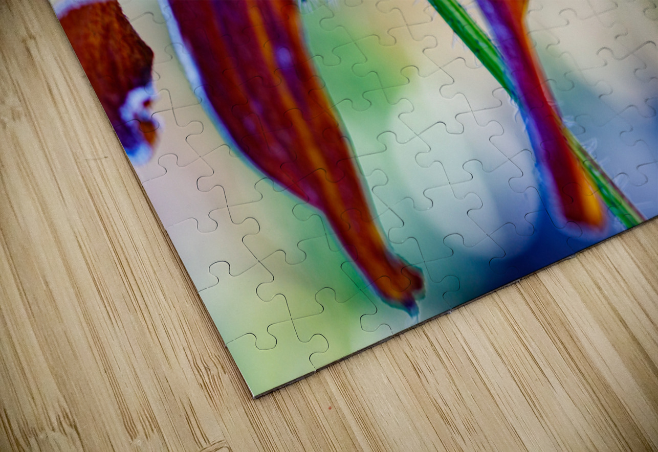 Frosted Black Eyed Susan Heather Marie Clark Puzzle