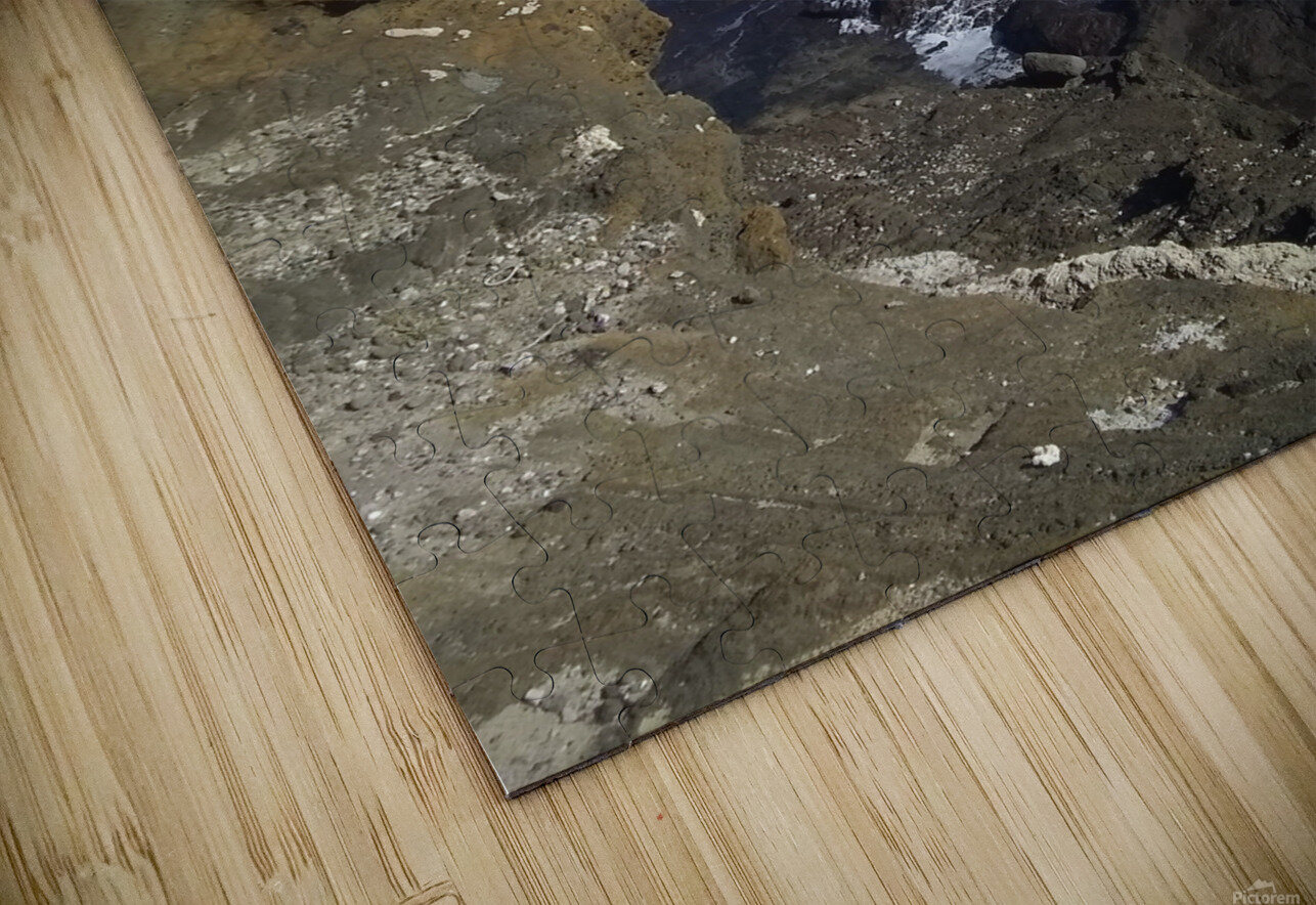 Blowhole Set 1 Susan Cook Puzzle