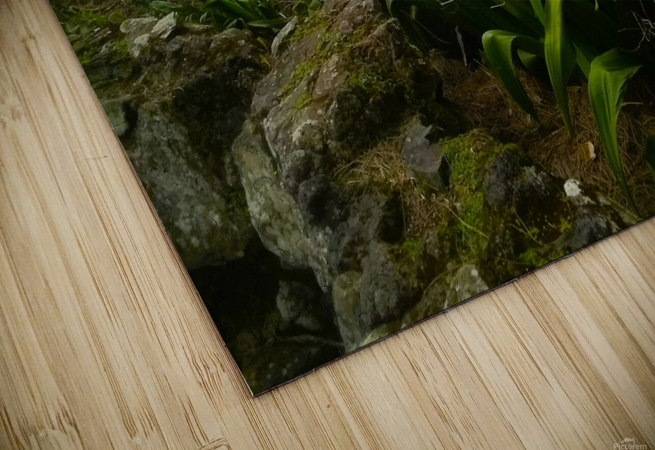 Hawaii 4 Susan Cook Puzzle