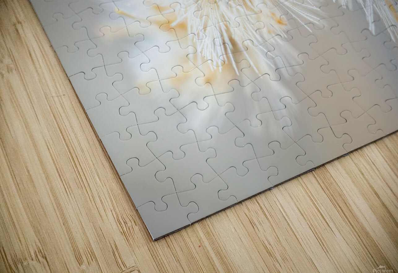 DSC03431 Luisa Torre Puzzle