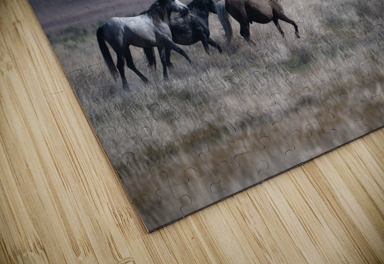 BZ9 5406 Enhanced NR Susan Lynn Cooke Puzzle