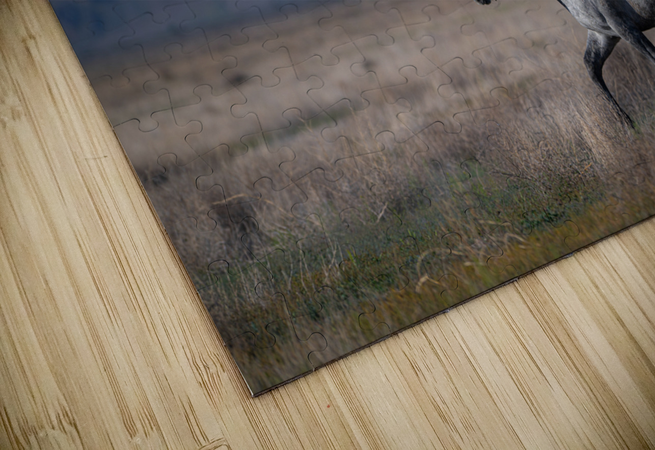 BZ9 4323 Enhanced NR Susan Lynn Cooke Puzzle