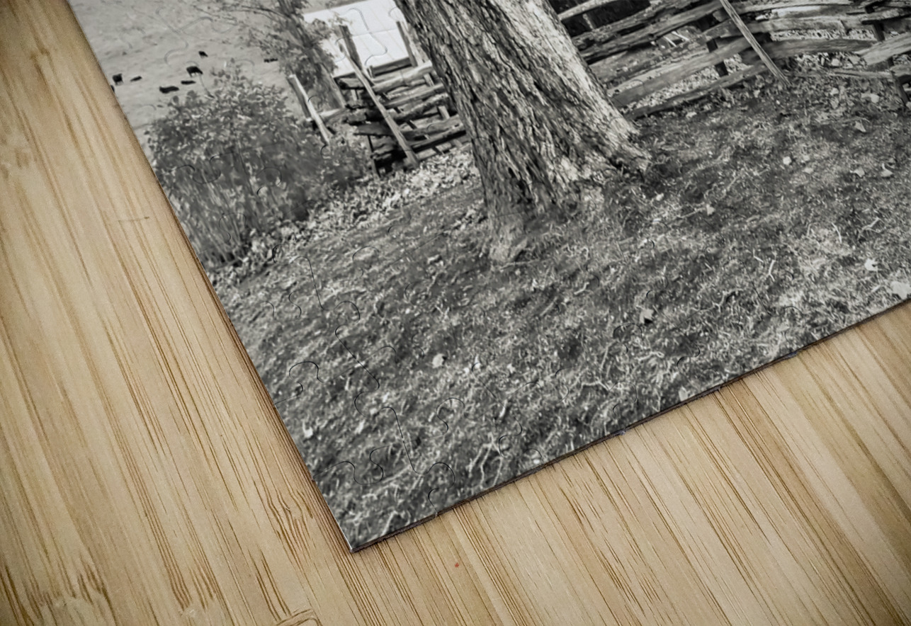 Homestead Sam Stead Antique Store  Norma Brandsberg Photography Puzzle