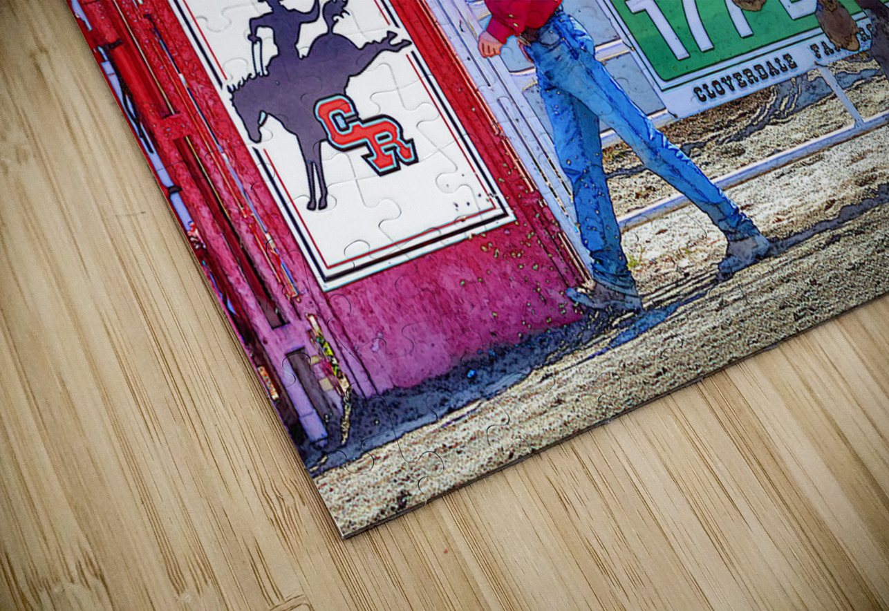 8 Seconds to Success Dave Cavan Photo Graphics Puzzle