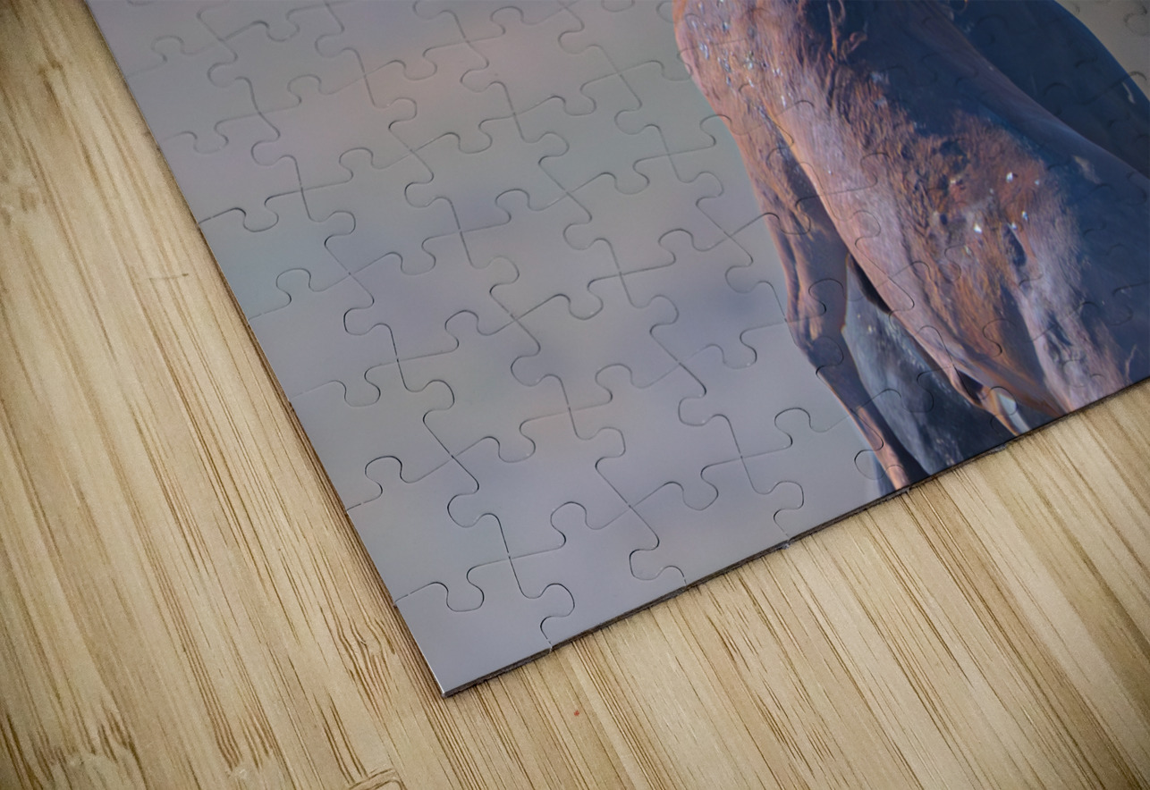 BZ9 9623 Enhanced NR 2 Susan Lynn Cooke Puzzle