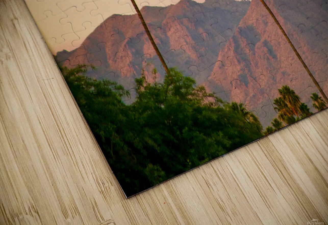 Arizona Tanner O Keefe Puzzle