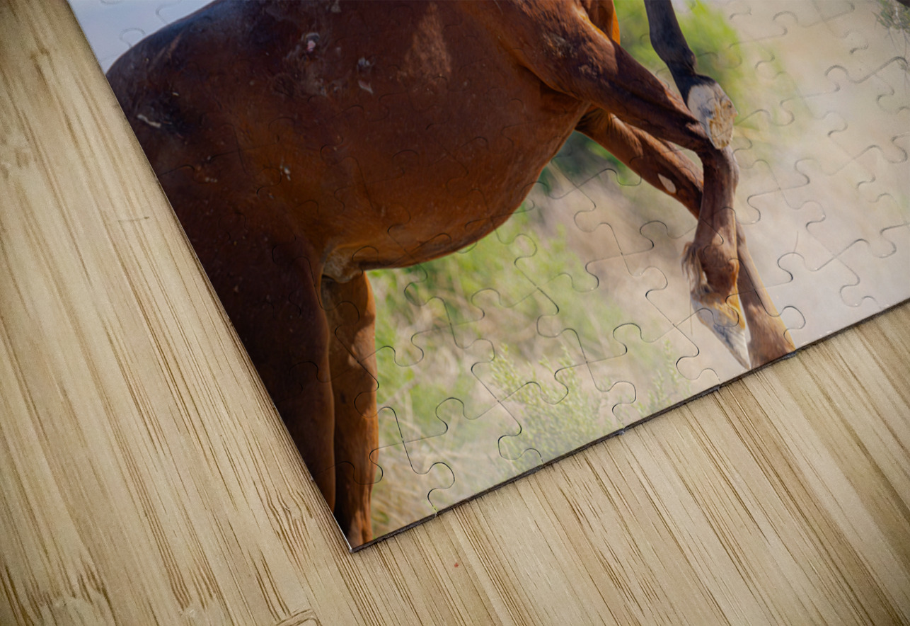 BZ9 0026 Enhanced NR 2 Susan Lynn Cooke Puzzle