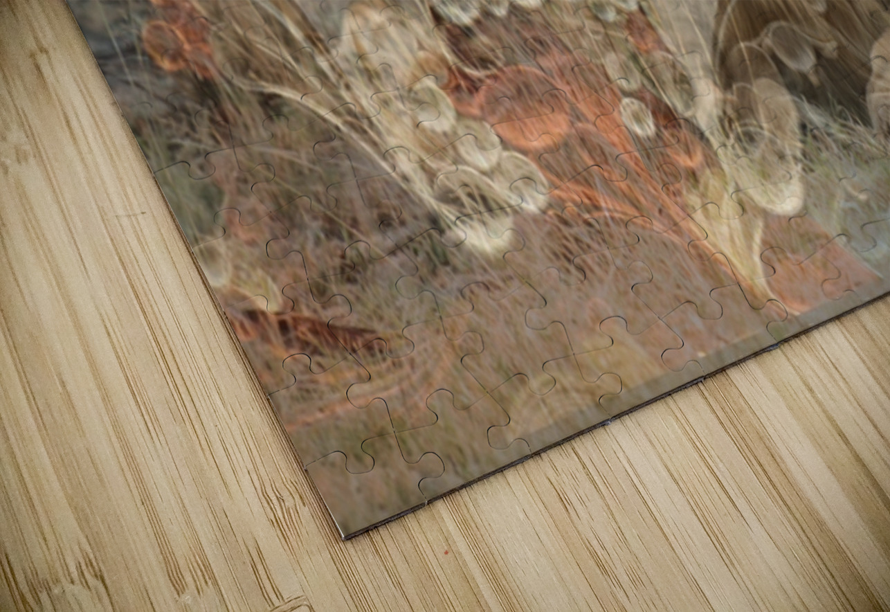 BOSS - Subtle Fierceness Get Up Lets Go Gallery Puzzle