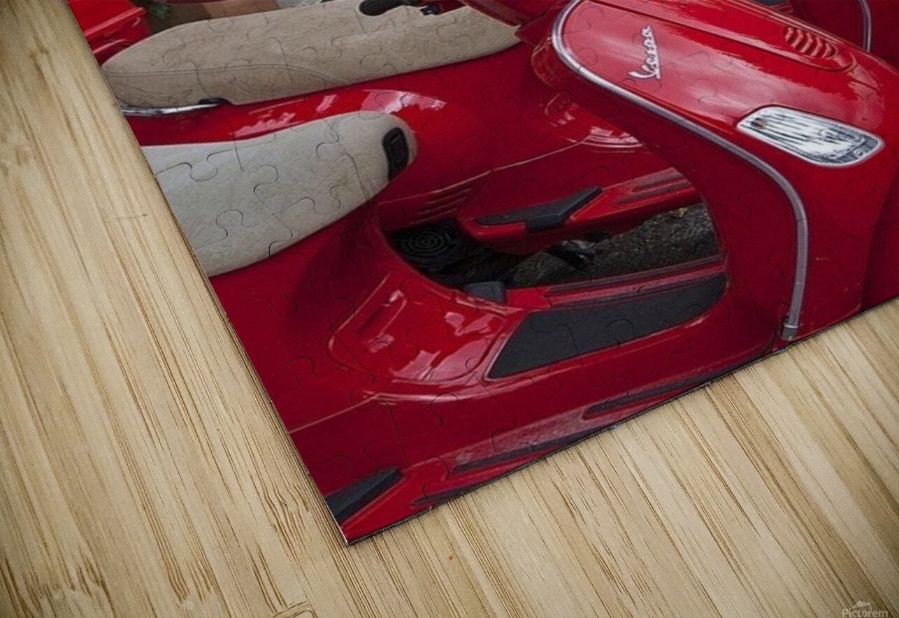 B356D0A8 4FB1 4EF4 AA2E F477C5A218B6 Leanardo dafinshi Puzzle