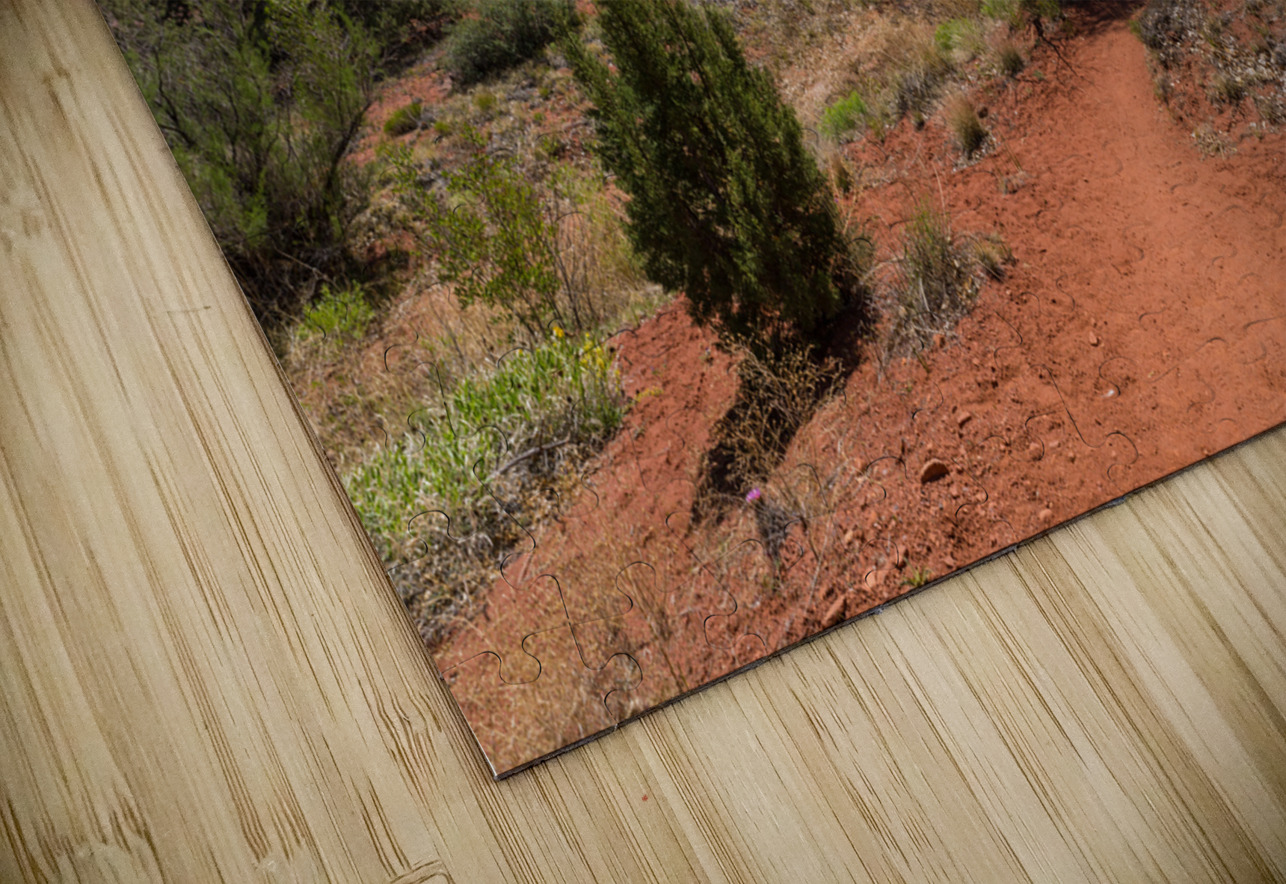 Professor Creek Utah Hiking Trail Jennifer White Puzzle