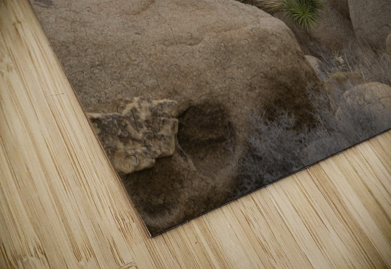 Joshua Tree Bolders Michelle Nichols Puzzle