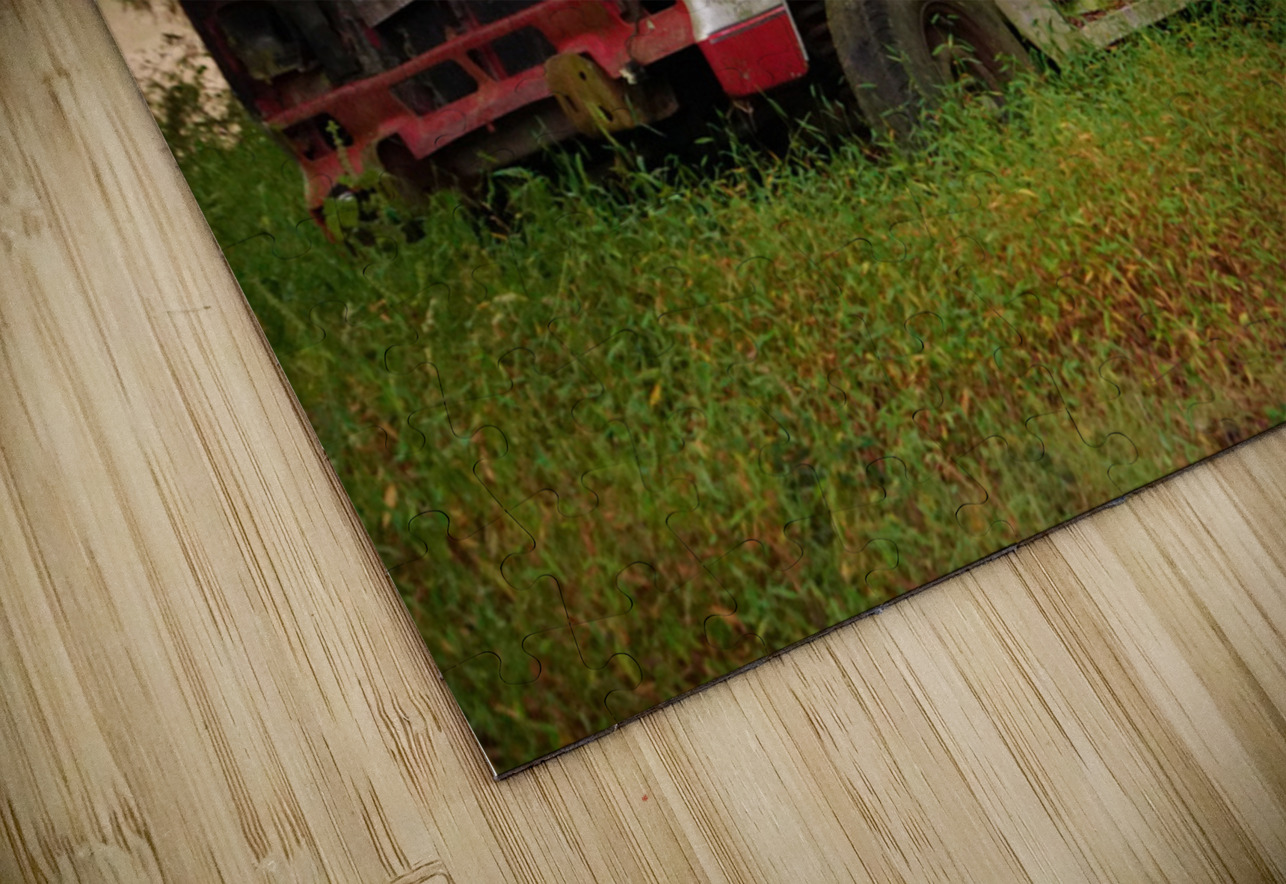 Old Bronco Michelle Nichols Puzzle