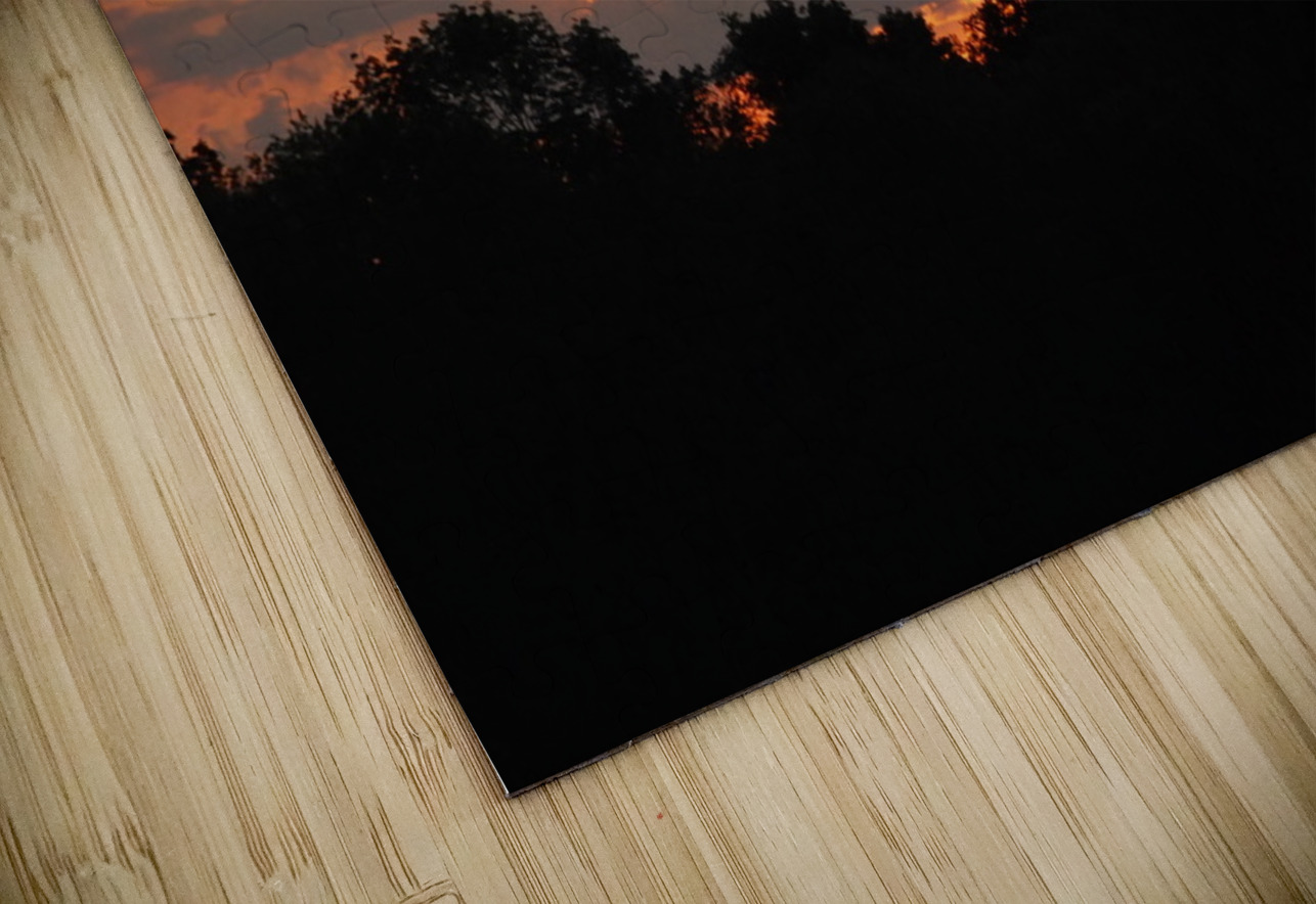 Chicagoland Speedway II WRR Puzzle