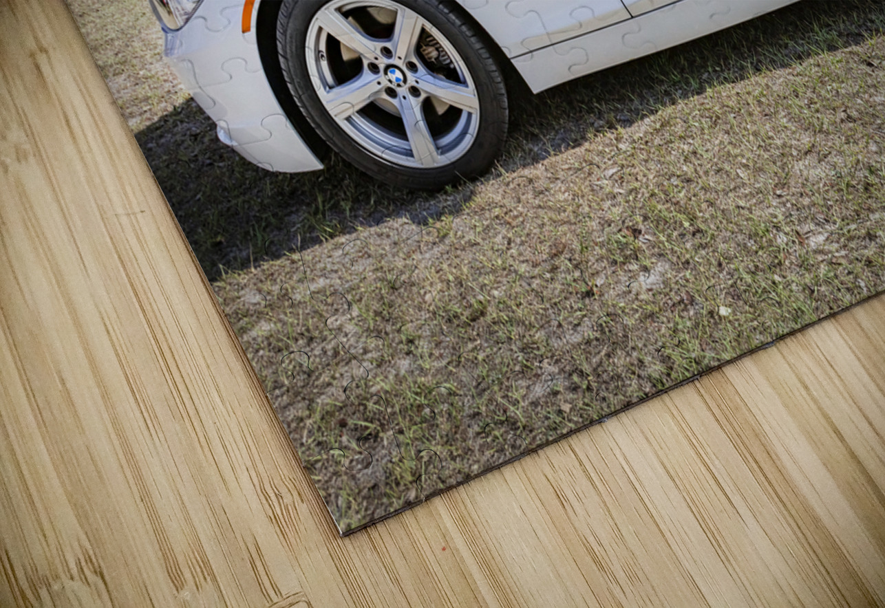 2011 White BMW Z4 sDrive 35 is Convertible X 7 Rich Franco Puzzle