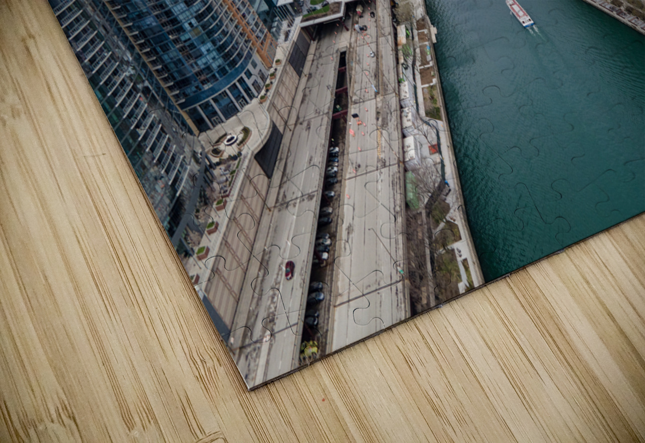 Chicago River Coastal Palms Media Puzzle