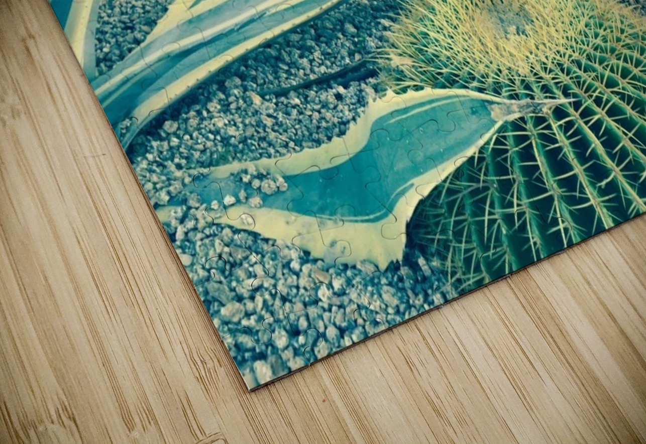 Cactus Party WRR Puzzle