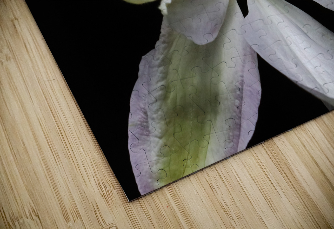 Hints Of Purple Clematis Deb Oppermann Puzzle