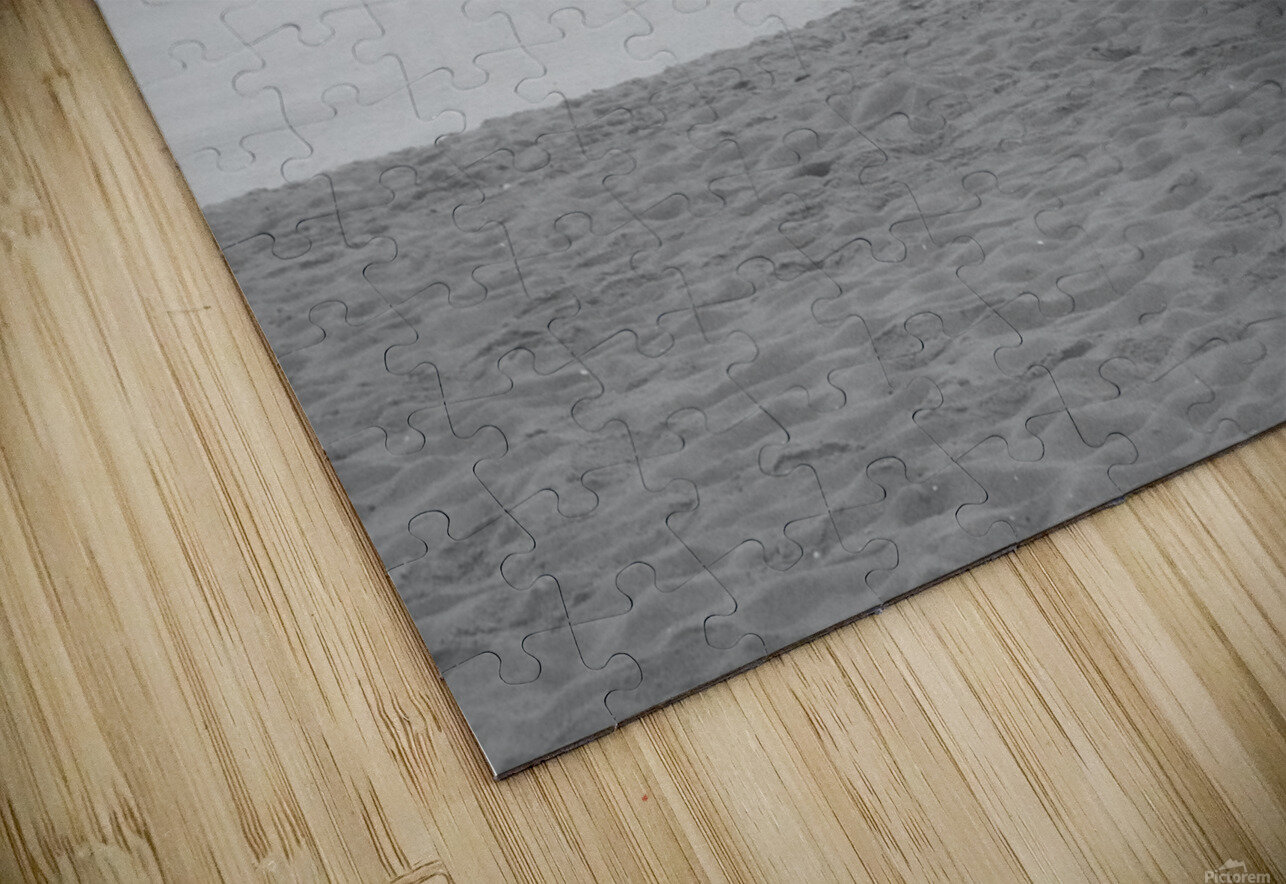 Monochromatic Seashore  Cat van Kay Puzzle