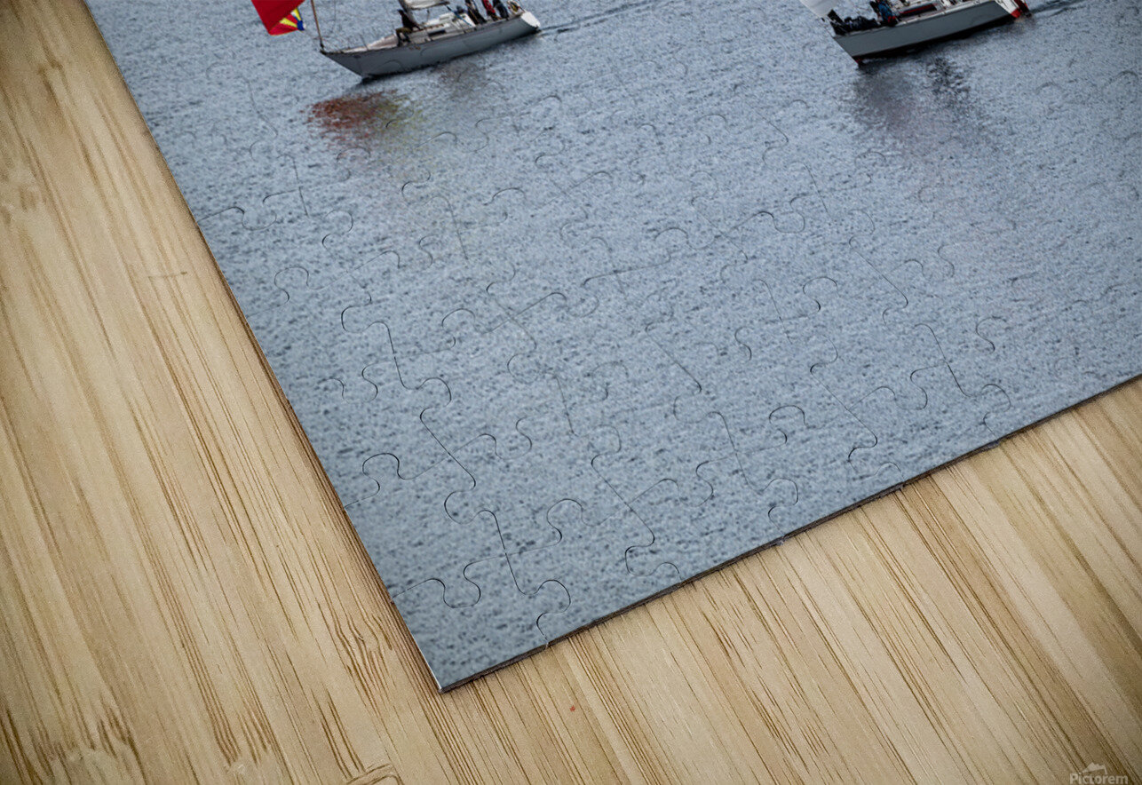  DSC9450 copy Jason Duncan Puzzle