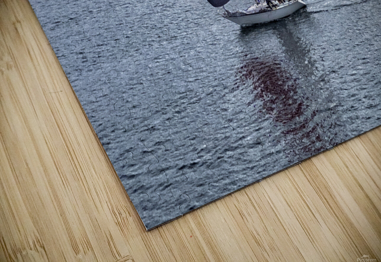 DJI 0093 copy Jason Duncan Puzzle