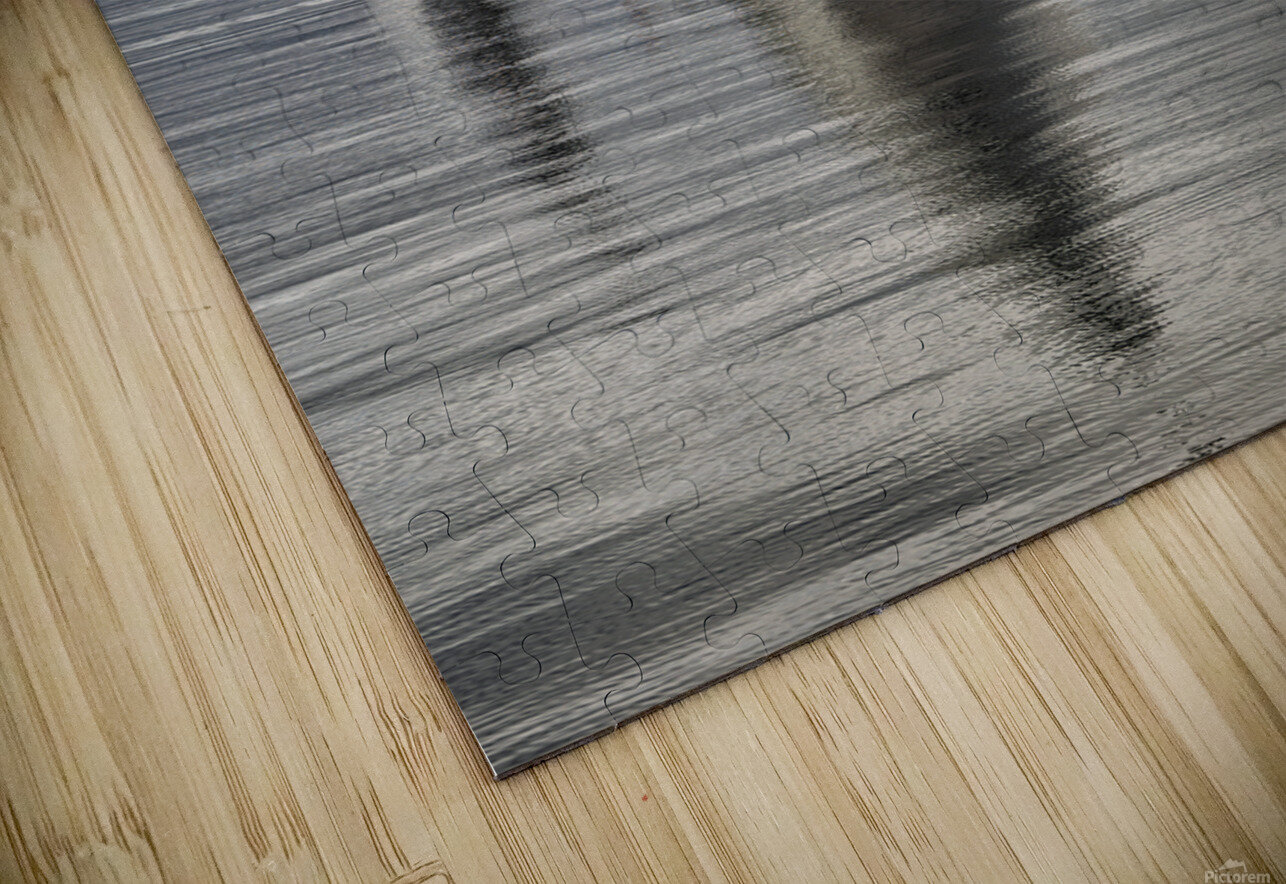  DSC8138 copy Jason Duncan Puzzle