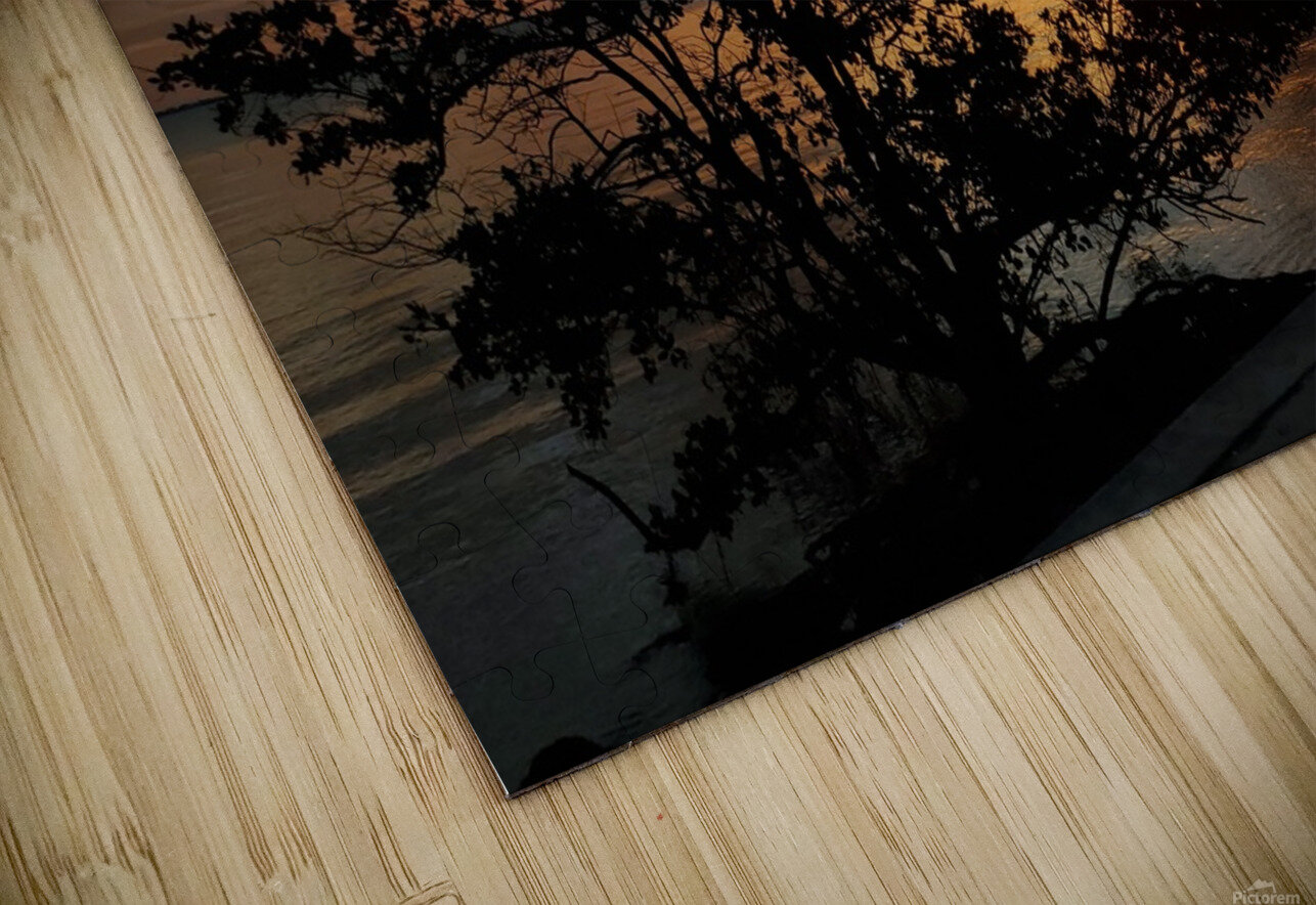 20200613 201916 Beholder Beauty Puzzle