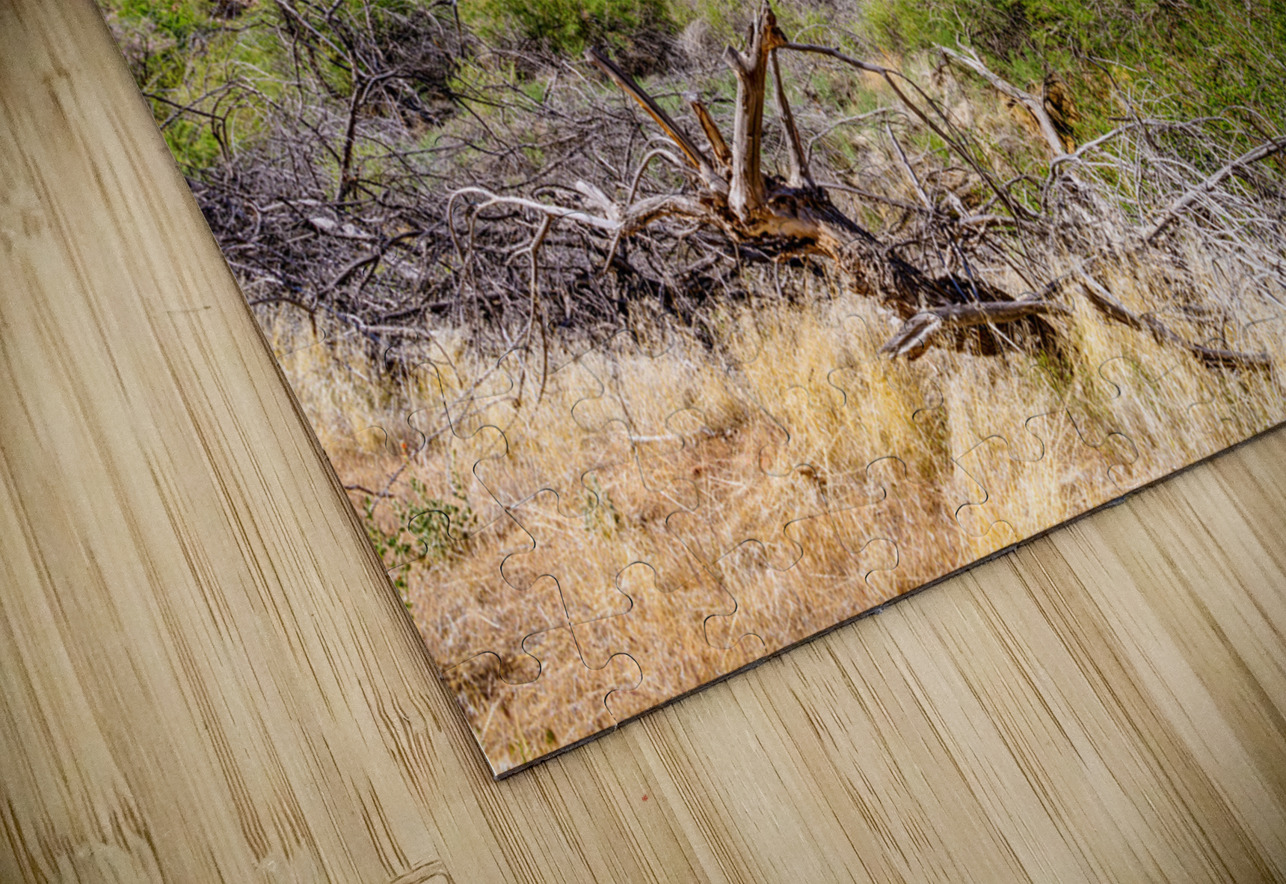 Dead Tree Colorado River Utah Jennifer White Puzzle