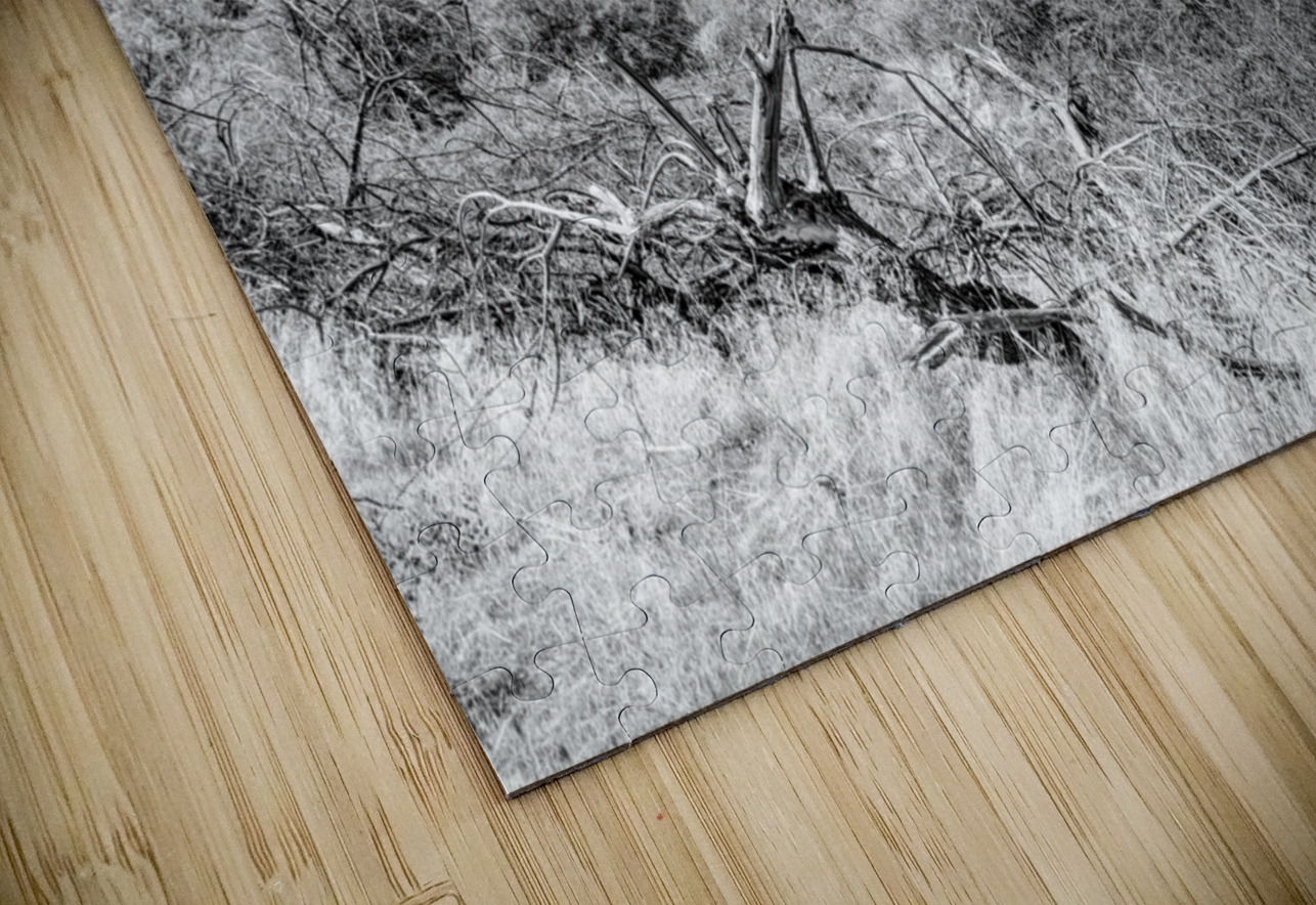 Dead Tree Colorado River Utah Grayscale Jennifer White Puzzle