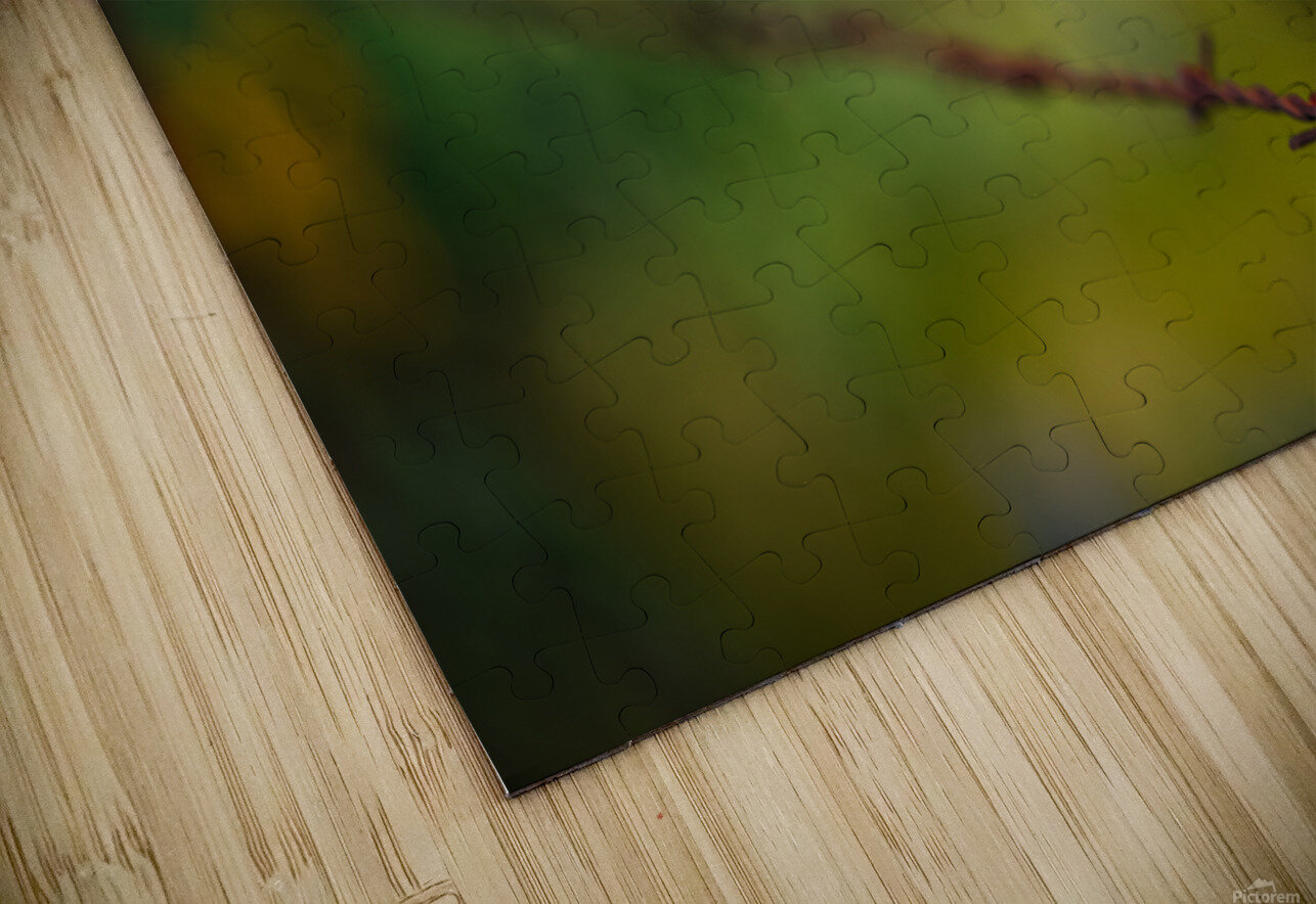 Hang In There  Erin Kirsten Puzzle