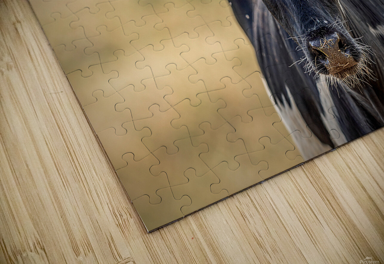 Longhorn Lady Erin Kirsten Puzzle