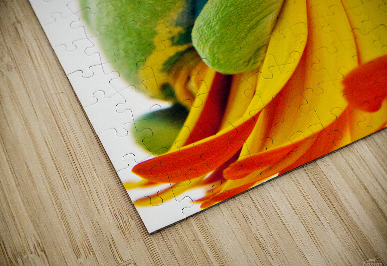 Frog On A Petal Erin Kirsten Puzzle