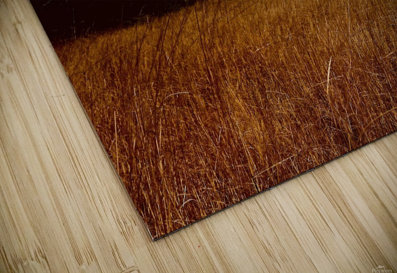 IMG 1198 Justin Crewe Puzzle