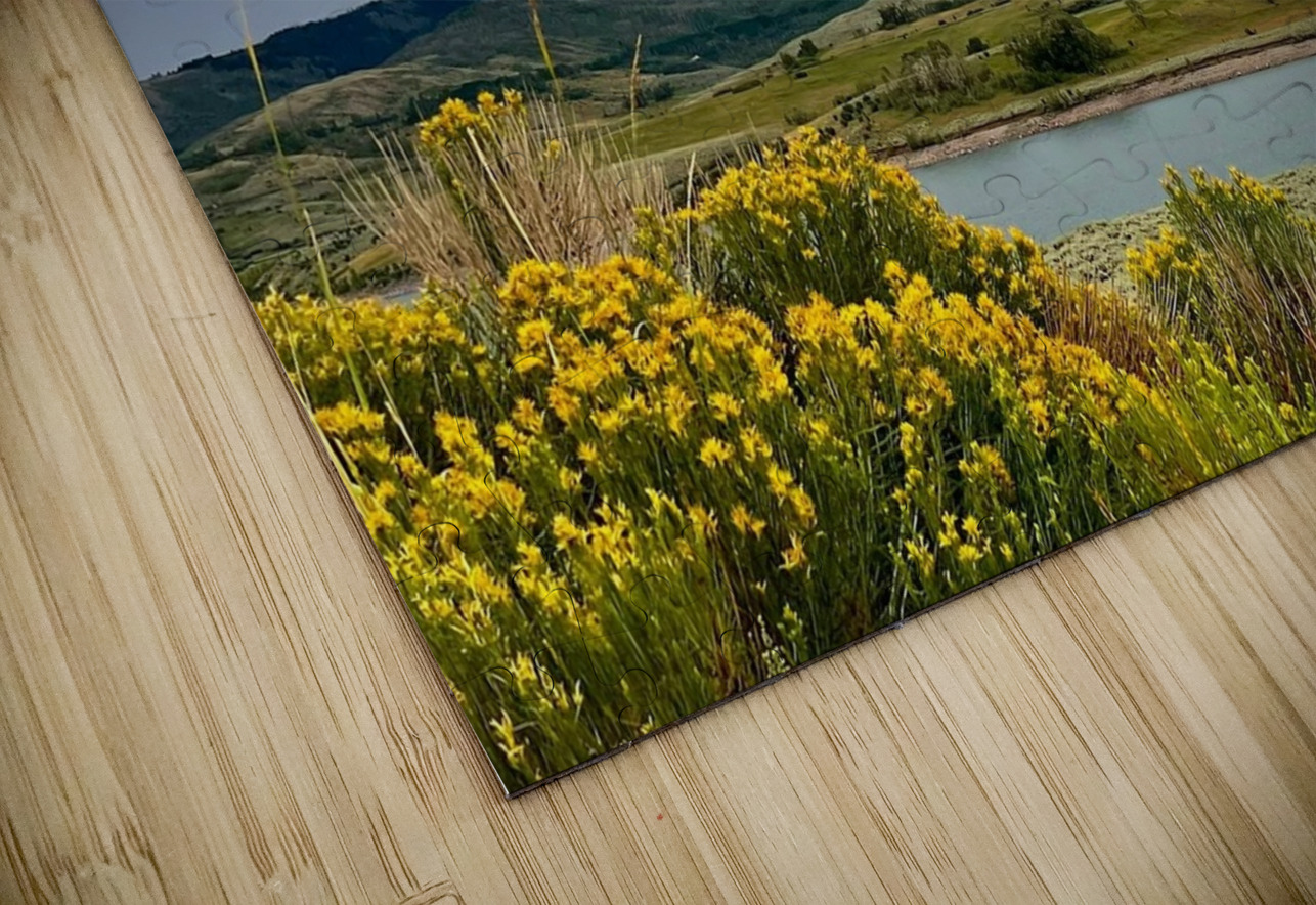 Green Mountain Res Jay W Dikeman Puzzle