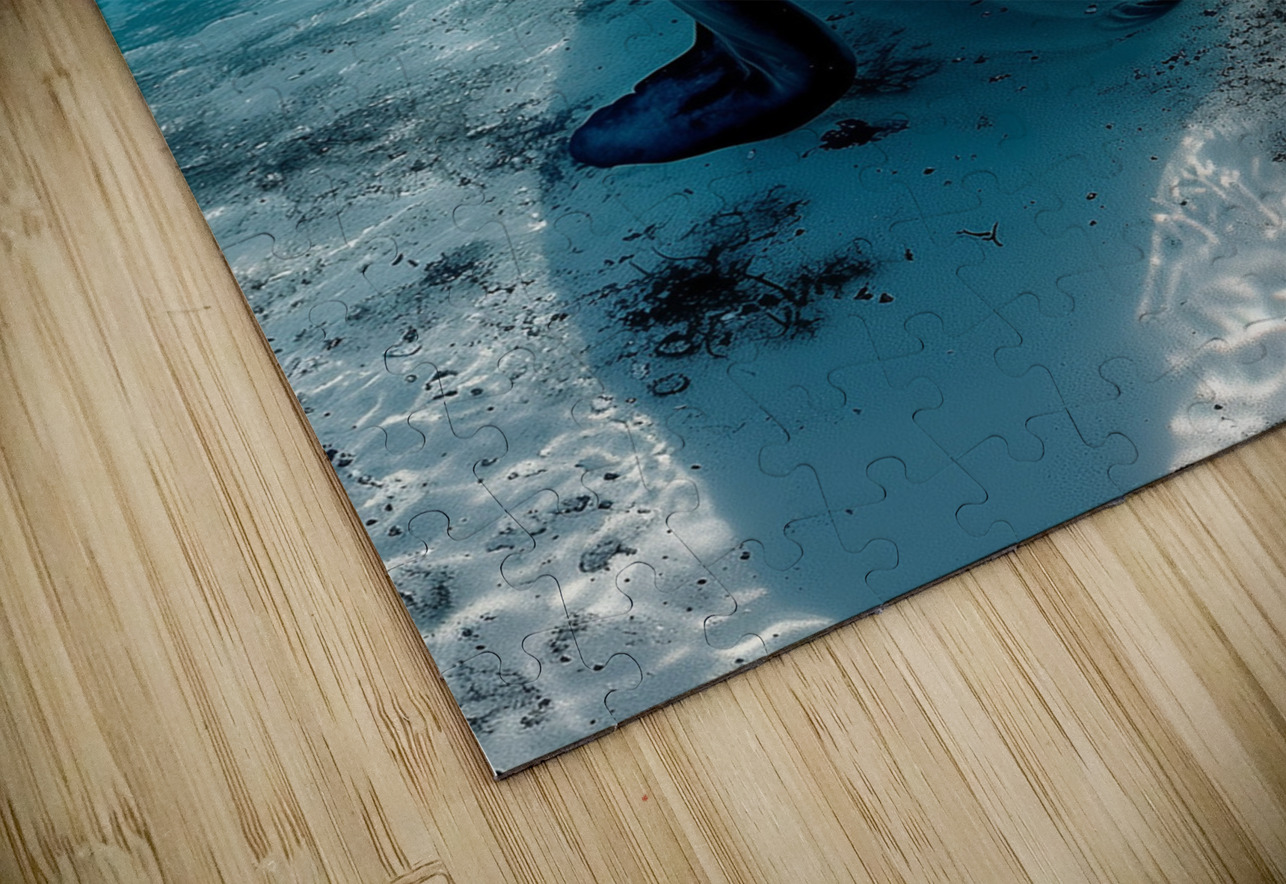 all blue environment A realistic photo g in the 8 ASAR STUDIOS Puzzle