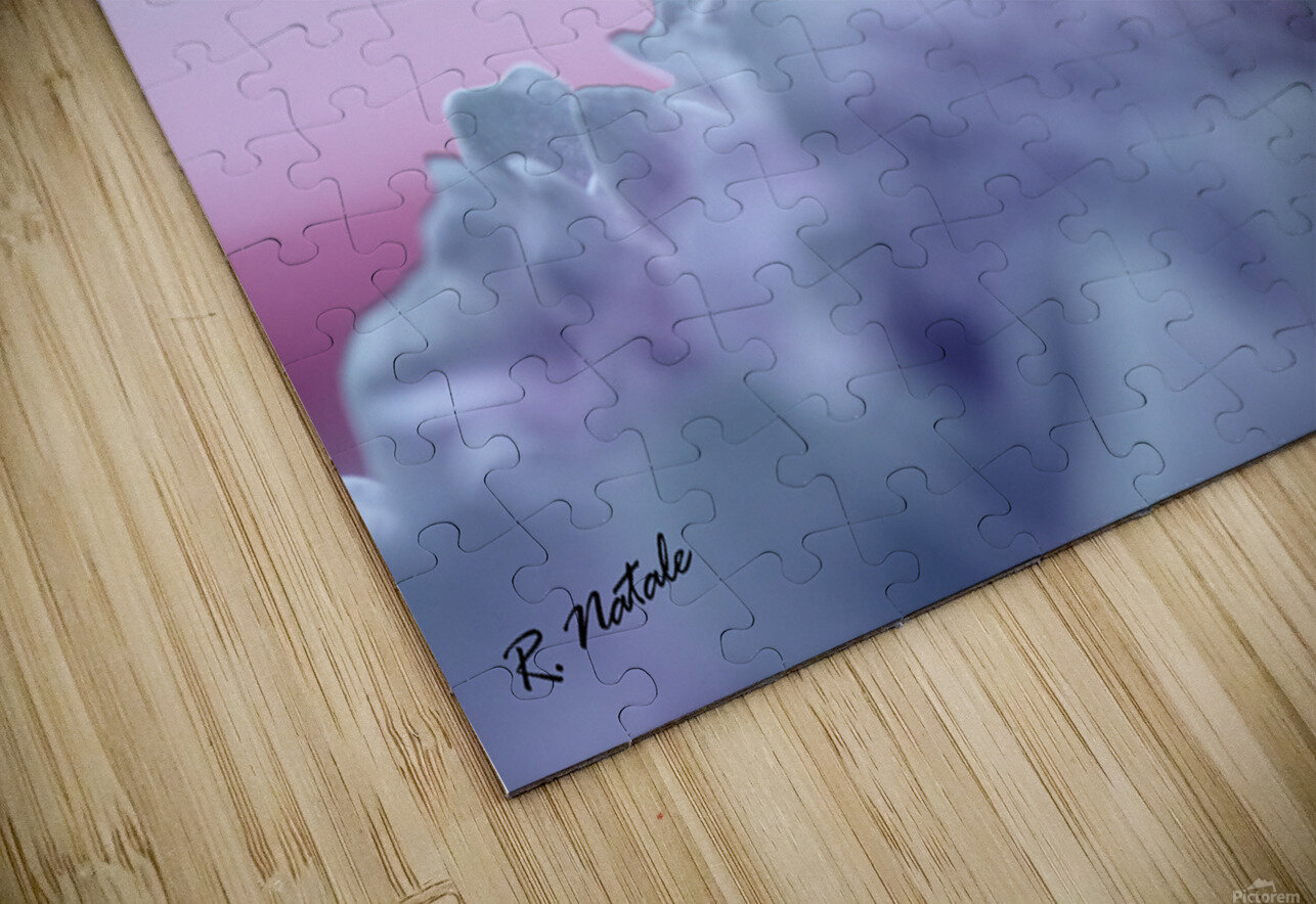 Impressions of a Pink Peony Flower Pastel R Natale Photography Puzzle