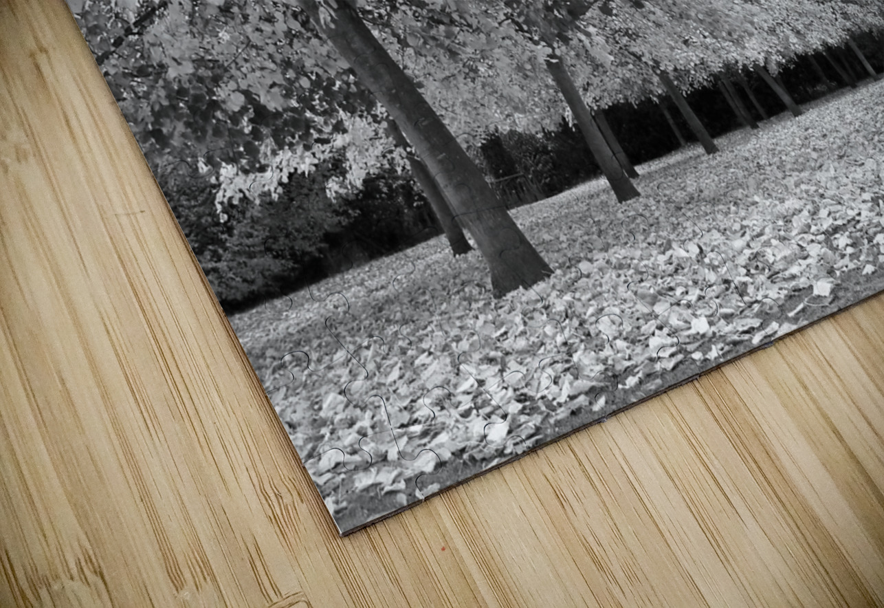 Autumn Days in Mono Gill Billington Puzzle