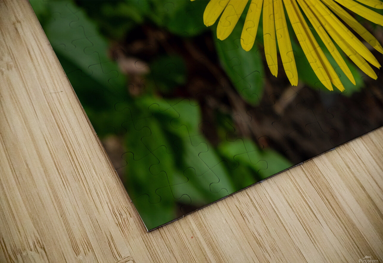 Leopards bane Esa Hiltula Puzzle