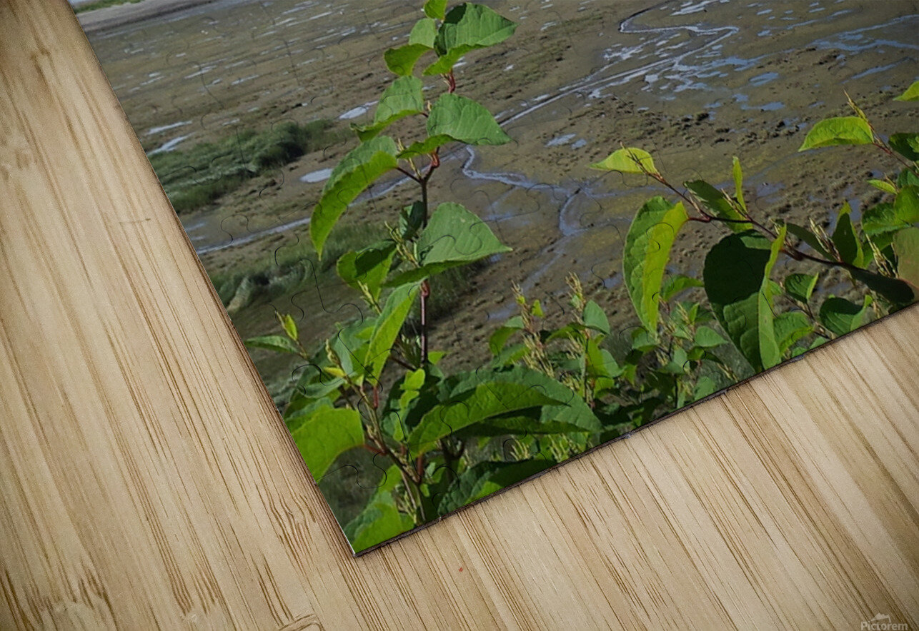Alaskan Mountain Range with Clouds  Sheila Bugbee Puzzle