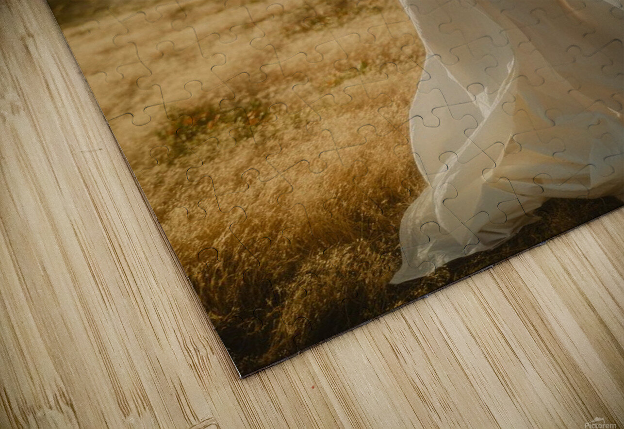 Enjoying Jubedart Puzzle