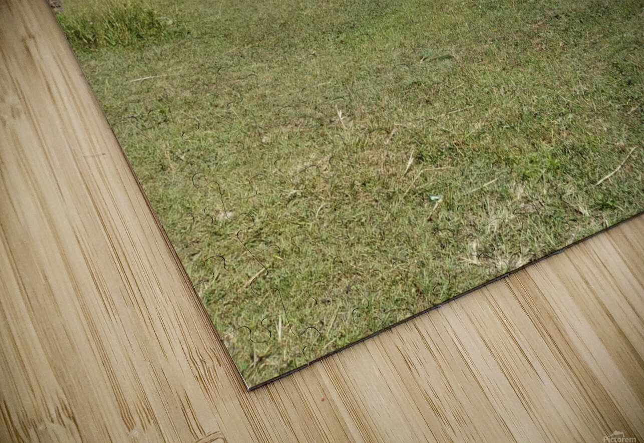 Summer sunny day is in mountain landscape. Mehar Muhmmad Kashif Puzzle