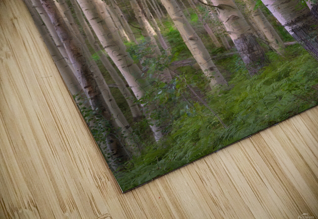 Colorado Landscapes 27 Jodie Minnillo Photography Puzzle