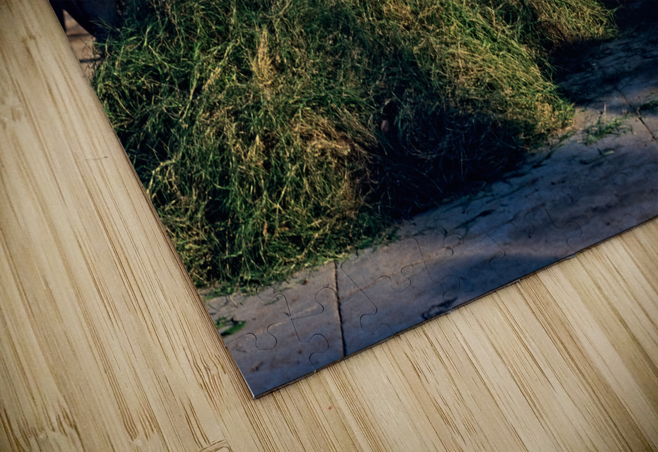 Pakistan. The street market in Lahore Marco Brivio Puzzle